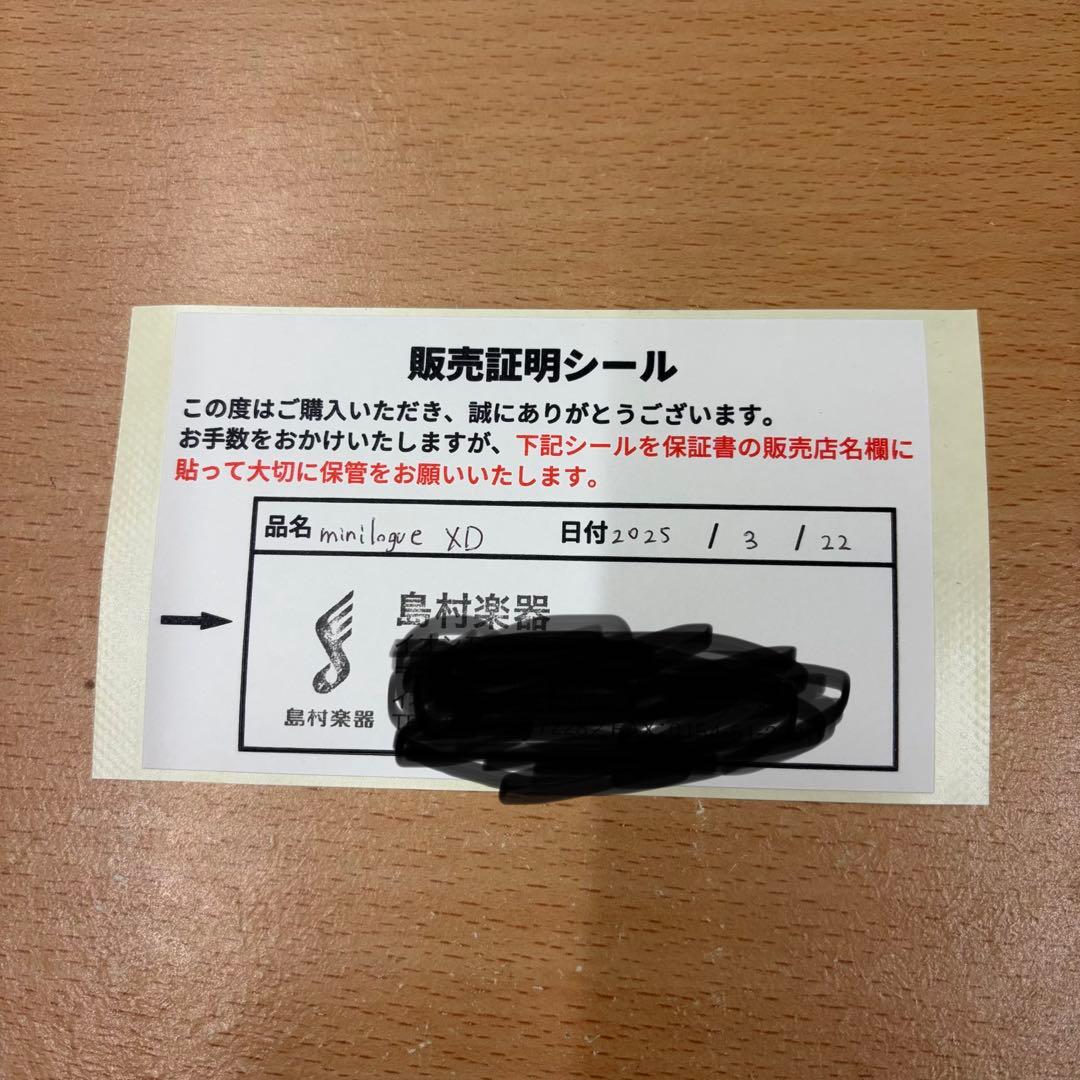 保証期間内　箱＆ケース付き【動作確認済み美品】KORG minilogue xd