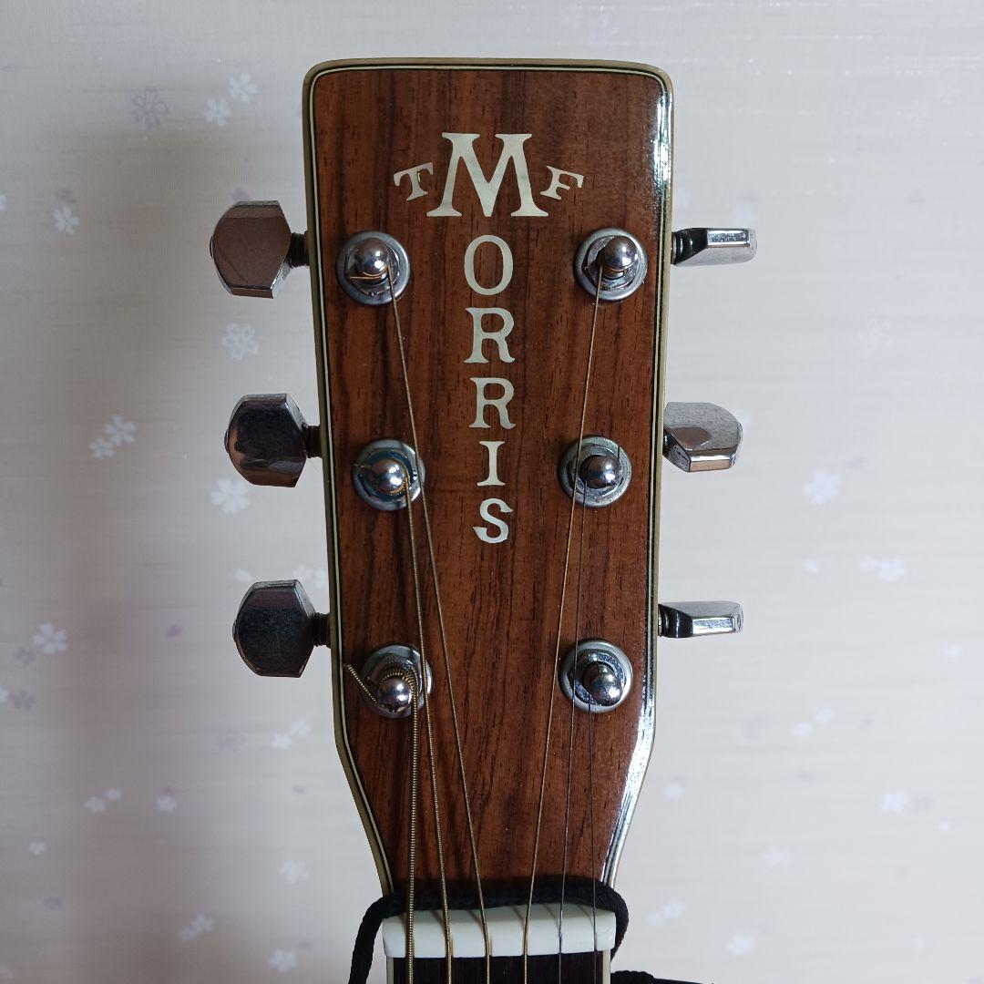 morris モーリスTF-W50 アコースティックギター