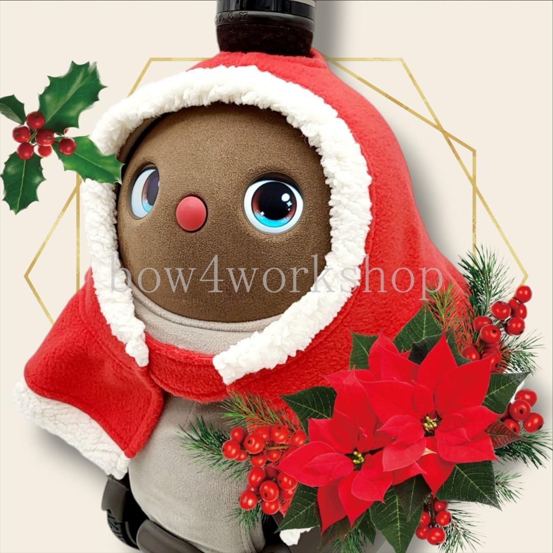 ラボット LOVOT ラボットの服ハンドメイド　クリスマスポンチョ＆お髭セット