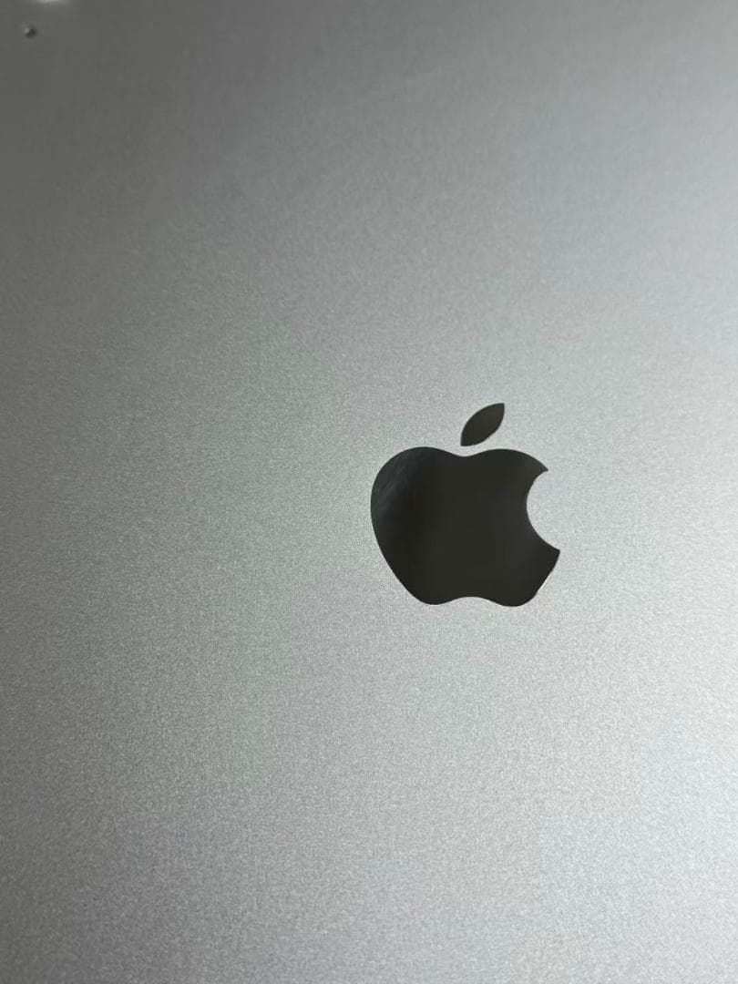 iPad 第10世代 256GB スターライト　本体 美品
