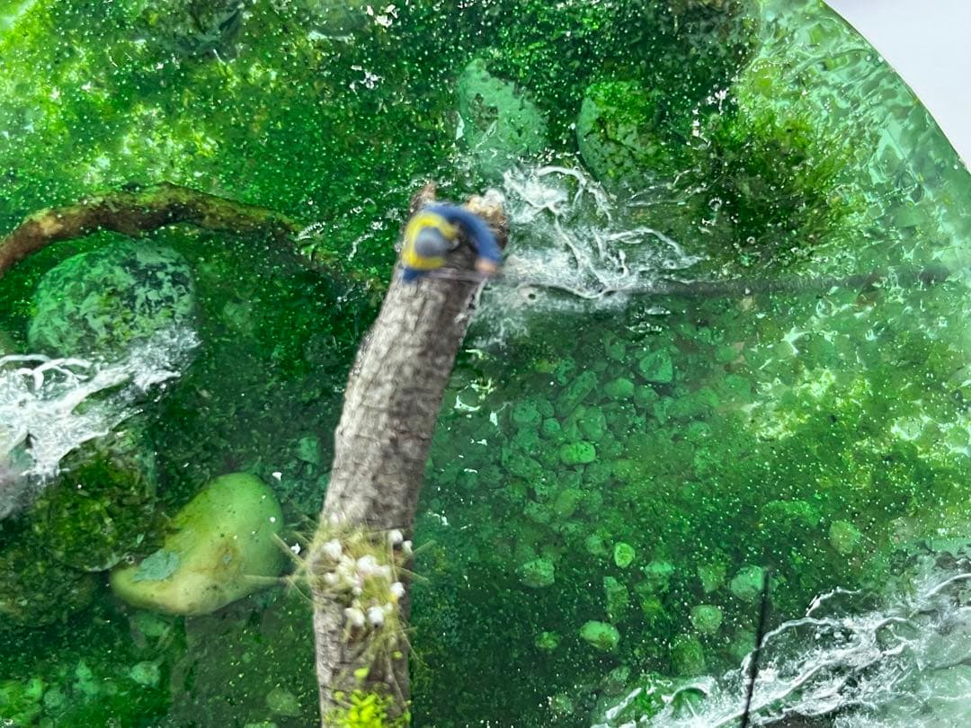 渓流釣り　レジンジオラマ