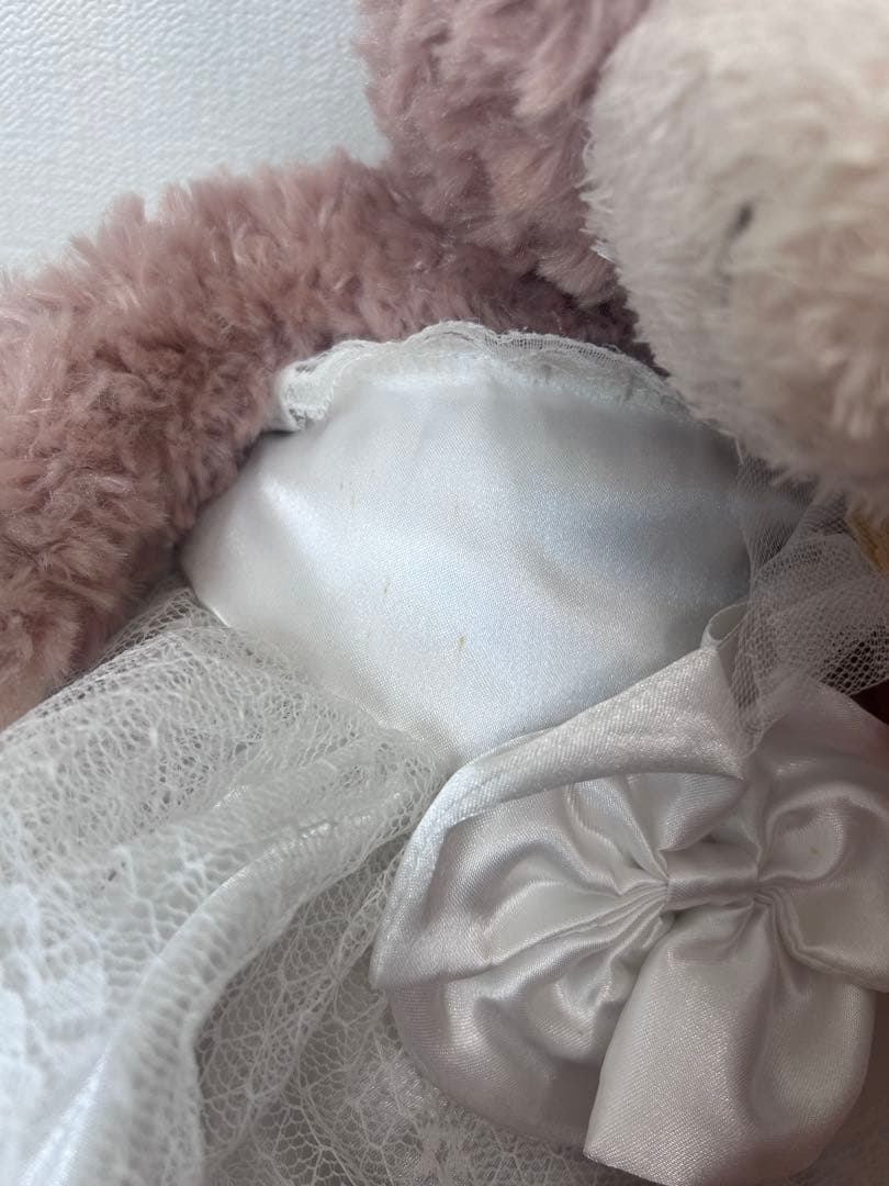 ダッフィー & シェリーメイ ぬいぐるみ セット