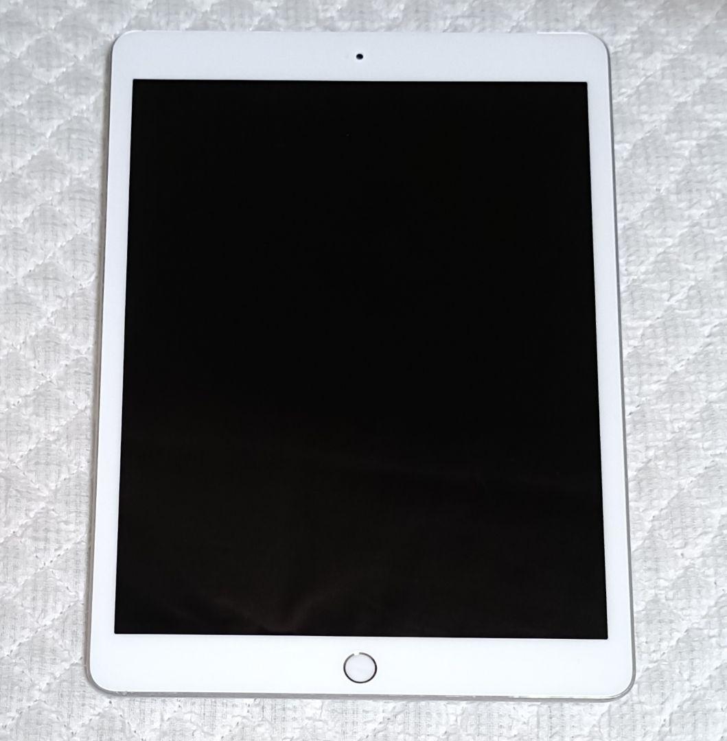 Apple Ipad 第7世代 充電器付 32GB Wi-Fi Cellular