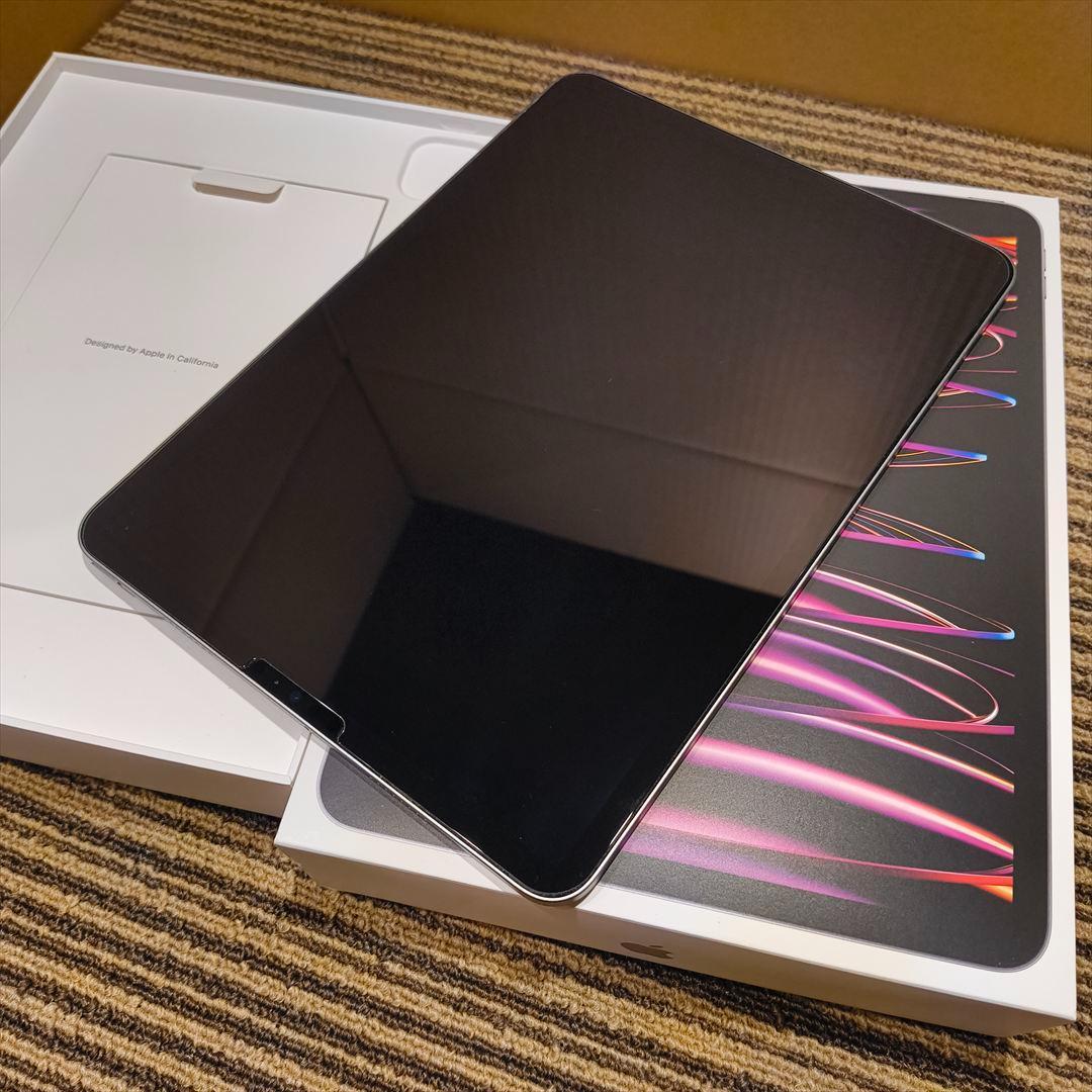 美品おまけ多数 iPad Pro 11インチ 第4世代 Wi-Fi 128gb
