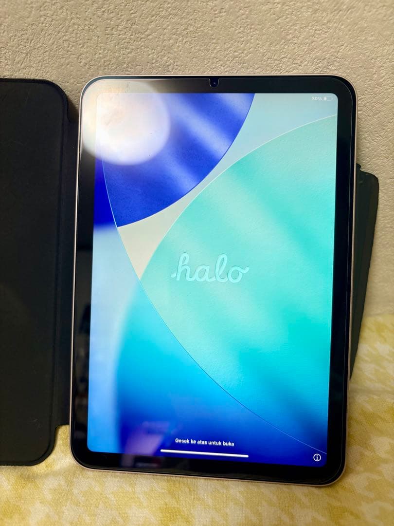 iPad mini 6 / 64GB / ピンク / ESRケース付き