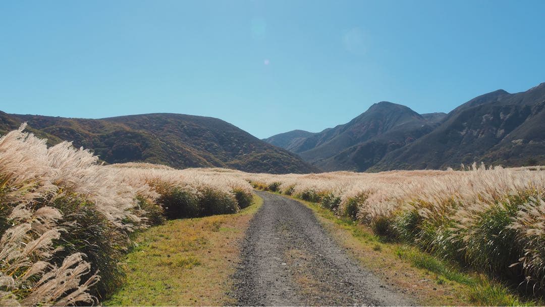 OM-D E-M5 MarkII Limited レンズキット