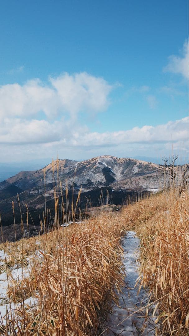 OM-D E-M5 MarkII Limited レンズキット