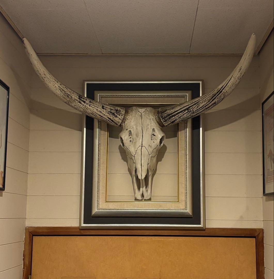 牛ハンティングトロフィーフレーム付き