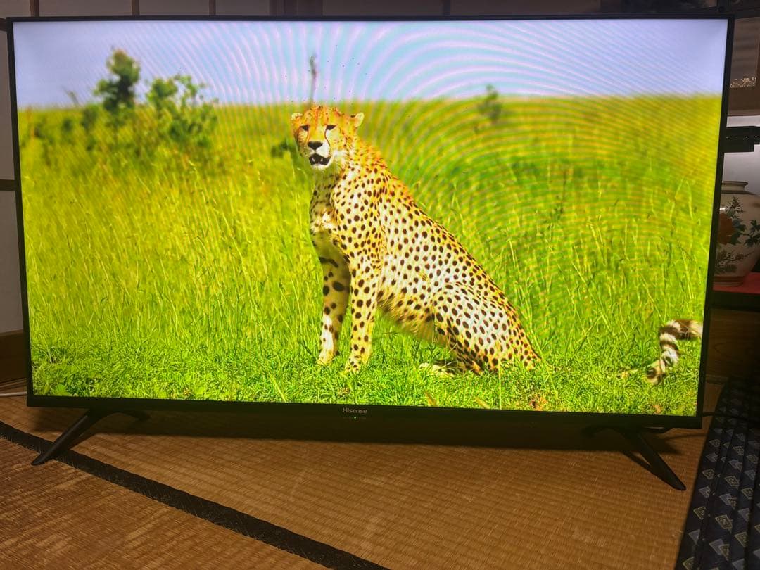 2023年製　40A35G ハイセンス テレビ 美品