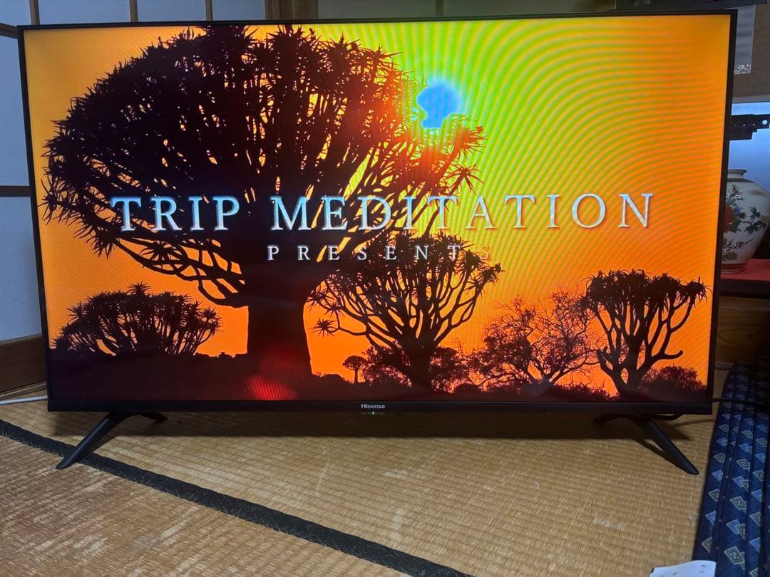 2023年製　40A35G ハイセンス テレビ 美品