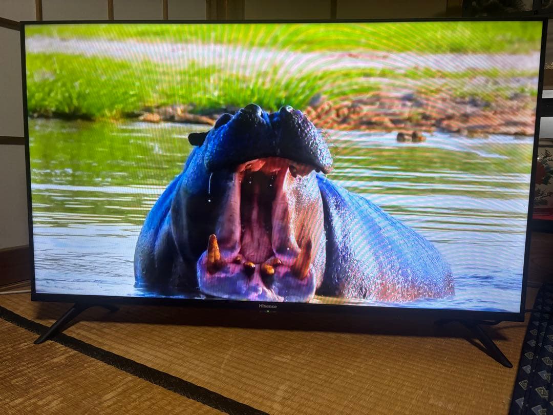 2023年製　40A35G ハイセンス テレビ 美品