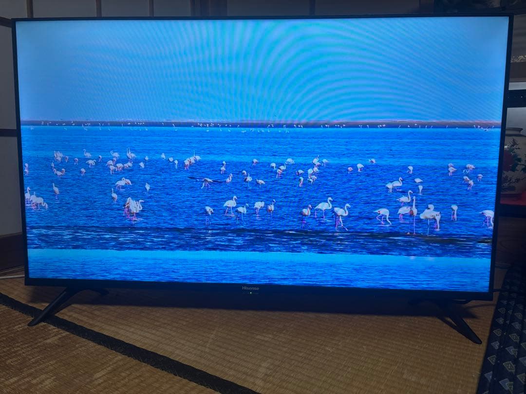 2023年製　40A35G ハイセンス テレビ 美品