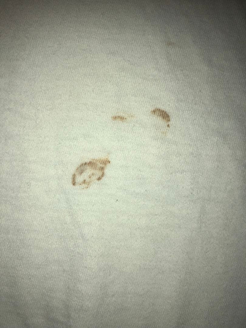 justy-nasty ロマンティックプラスチックツアー Tシャツ