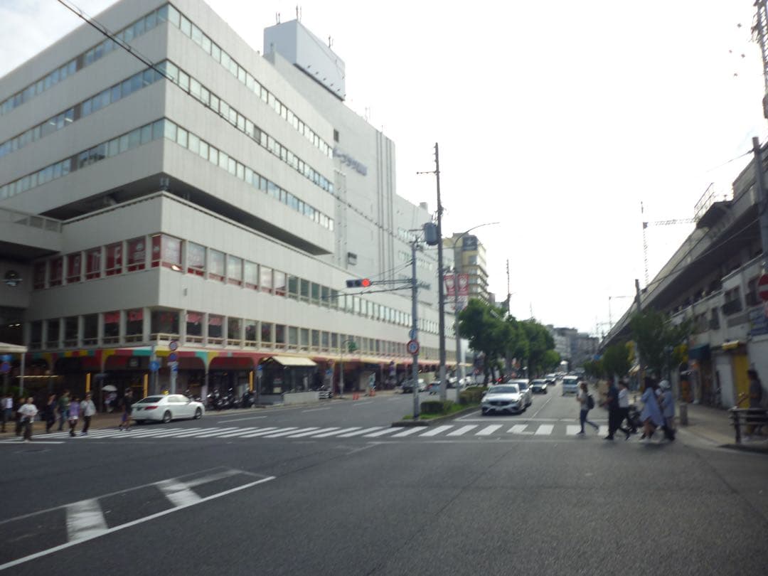 【作例あり】Panasonic LUMIX DMC- S1 CCDセンサー