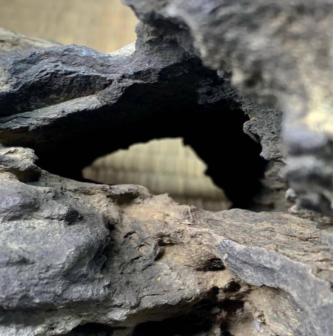 2500 揖斐川石 ウブ『天邪鬼』桐箱付 2箇所ヌケあり 水石 置物 鑑賞石