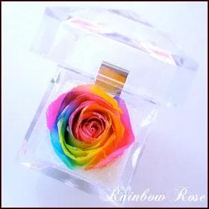 プリザーブドフラワーレインボーローズジュエリー