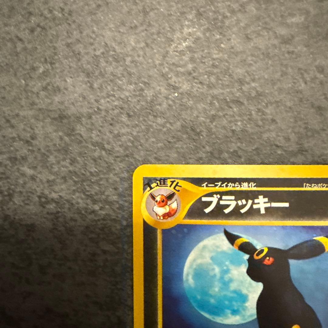 旧裏　ブラッキー　かみつく　だましうち