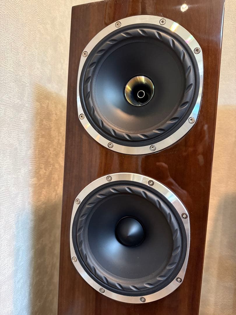 2本同時購入 Fyne Audio F501SP PGWNウォールナット1/2