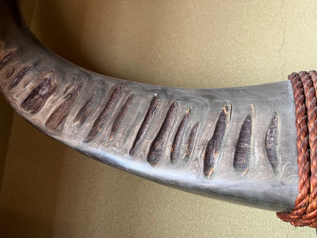 牛角の装飾品 大型