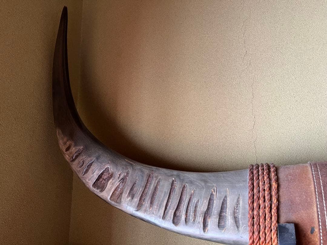 牛角の装飾品 大型