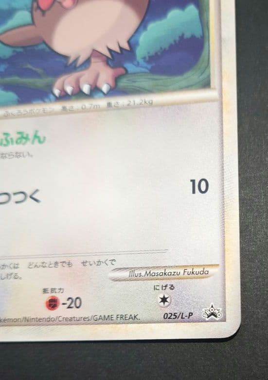 ポケモンカード　プロモ　ホーホー　ヨルノズク
