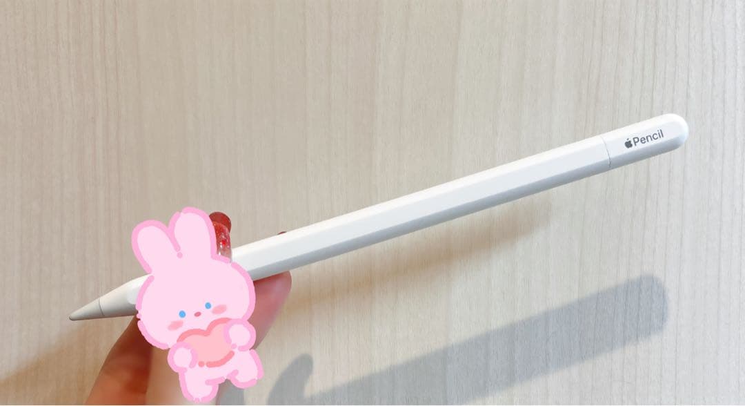 Apple Pencil (USB-C) ペアリングケーブル付き