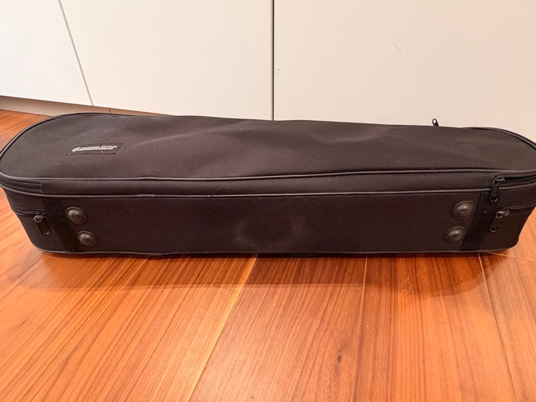 Eastman VL100 3/4 2017年製 セット ケース付 弓2本 子供