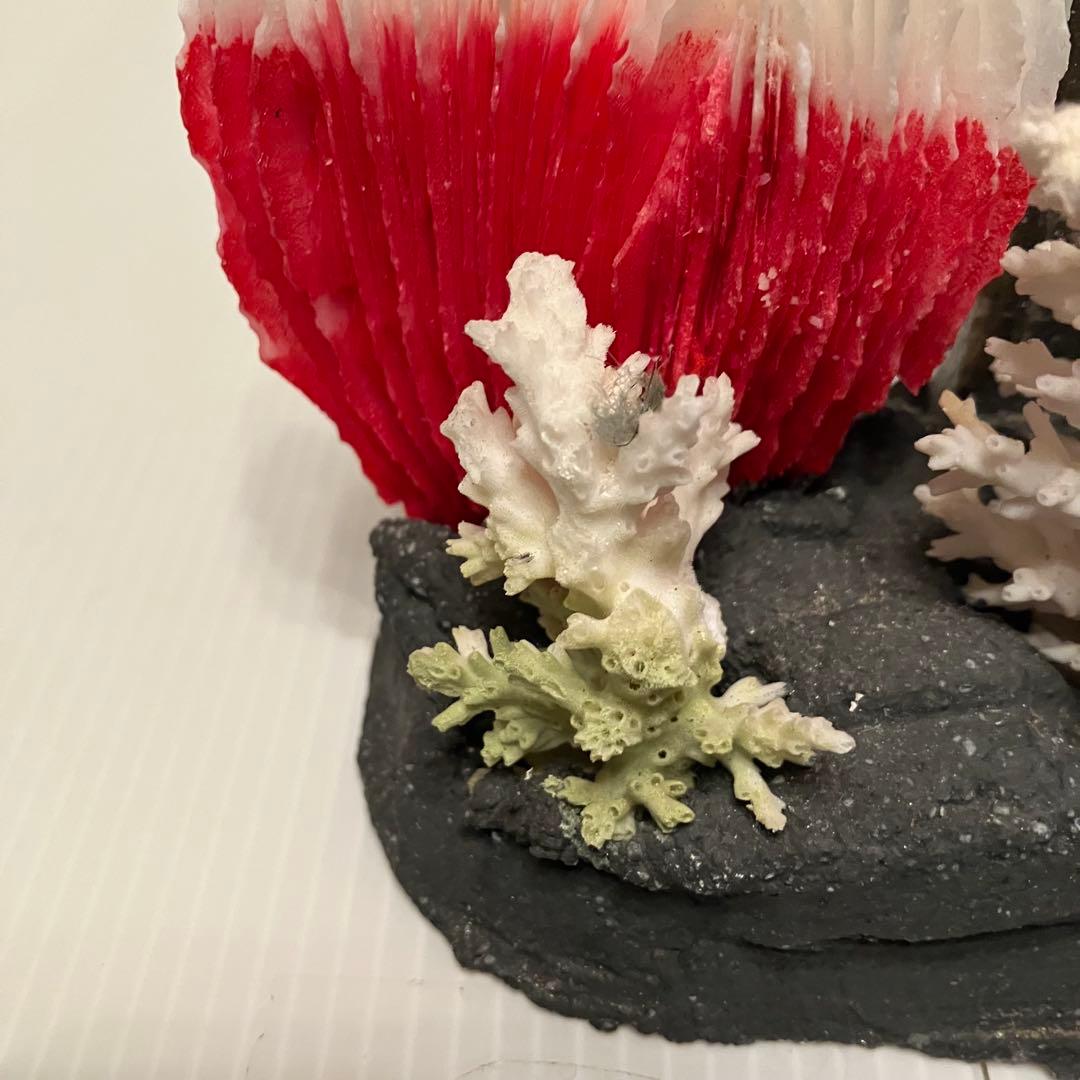 E-4 【希少・伊豆下田】天然サンゴ 銘品 工芸品 置物 「唐人お吉」ゆかりの品