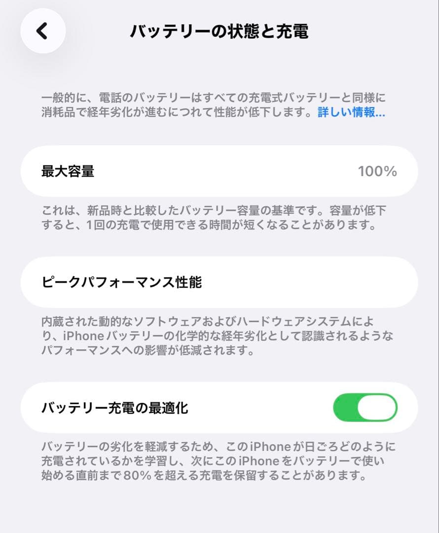 【アールちぇん専用】iPhone13ProMax256GB バッテリー100%