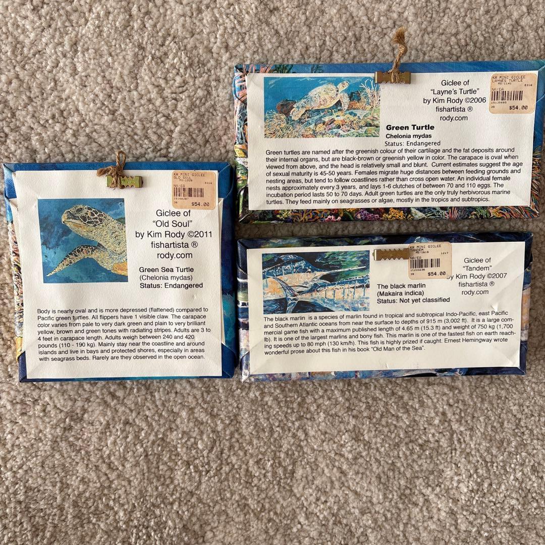 Hawaii アクリル画　ウミガメの油彩画3点セット