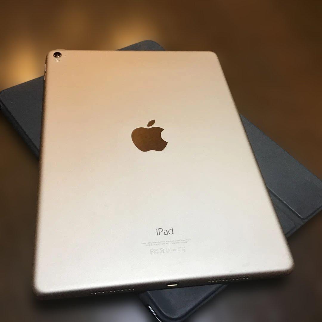 iPad Pro　9.7インチ　256GB　WiFi　画面赤みあり