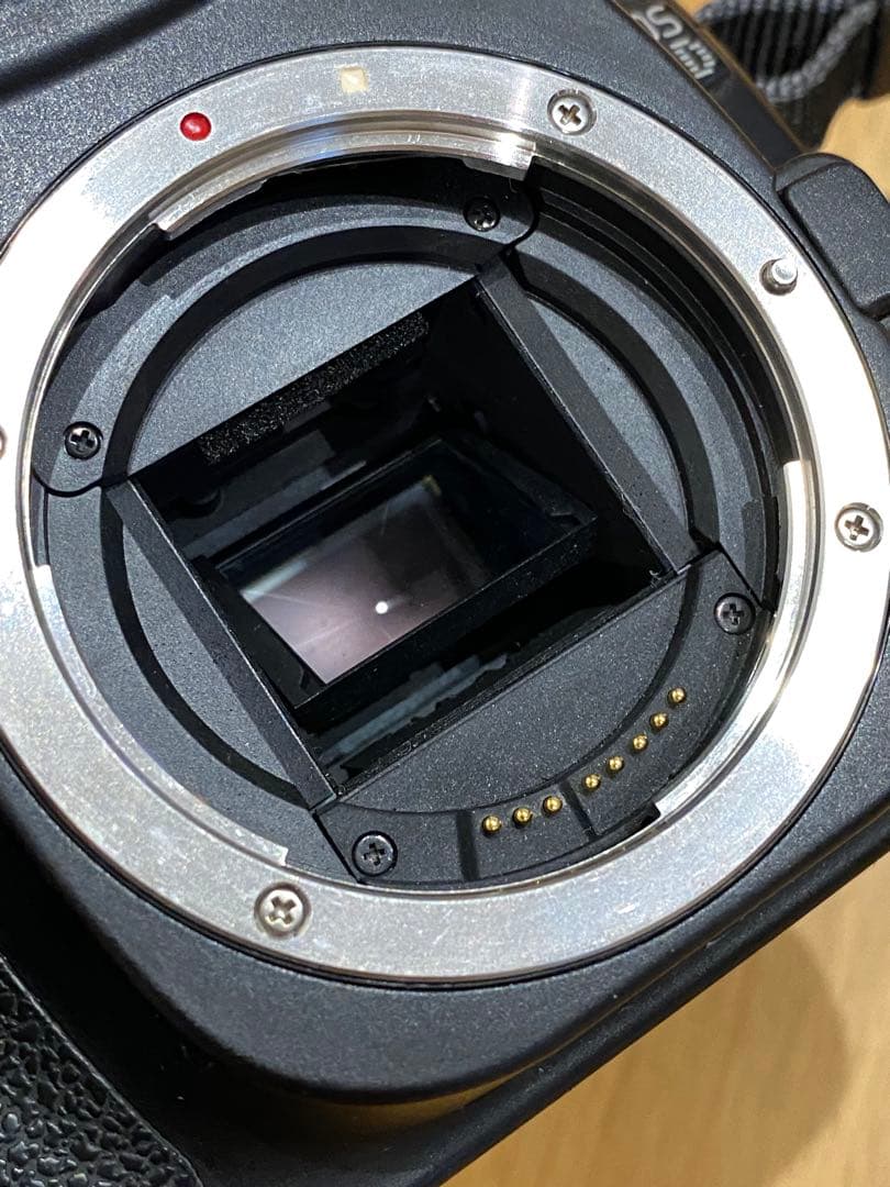Canon EOS 20D デジタル一眼レフ　タムロン　28-80 動作品