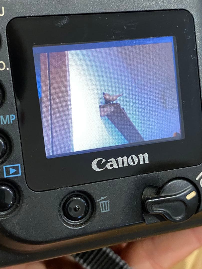 Canon EOS 20D デジタル一眼レフ　タムロン　28-80 動作品