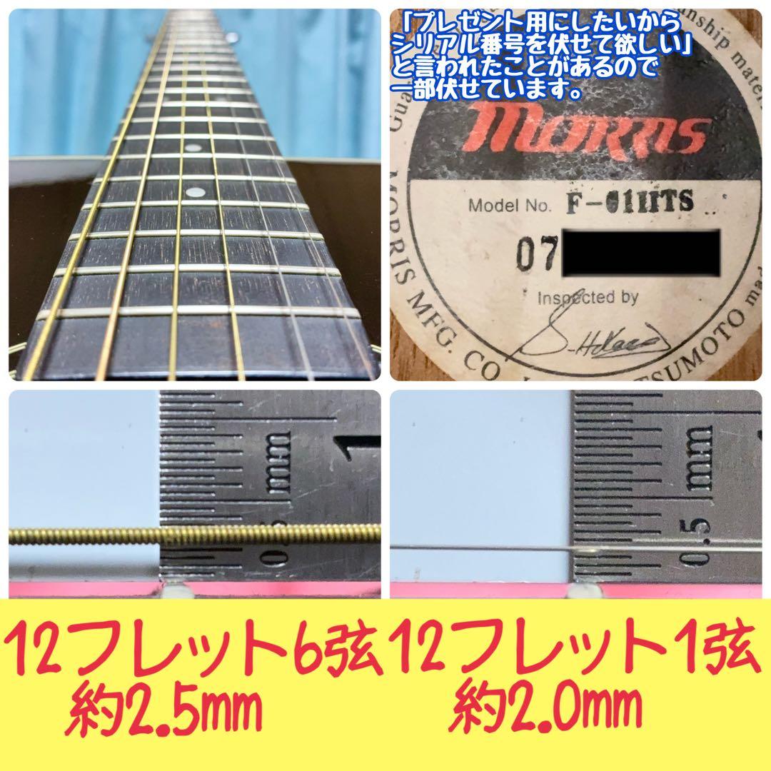 【牛骨】MORRIS！少し小ぶり！F-01Ⅱ【弾き易く調整☆新品弦】