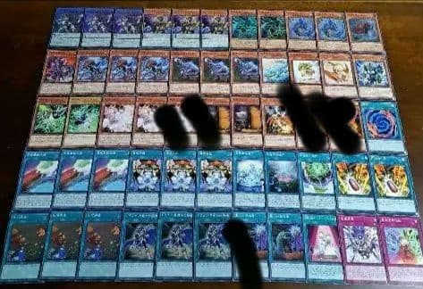 【大会優勝構築】遊戯王　構築済みデッキ　70枚　恐竜竜華　儀式ペンデュラム　ガチ