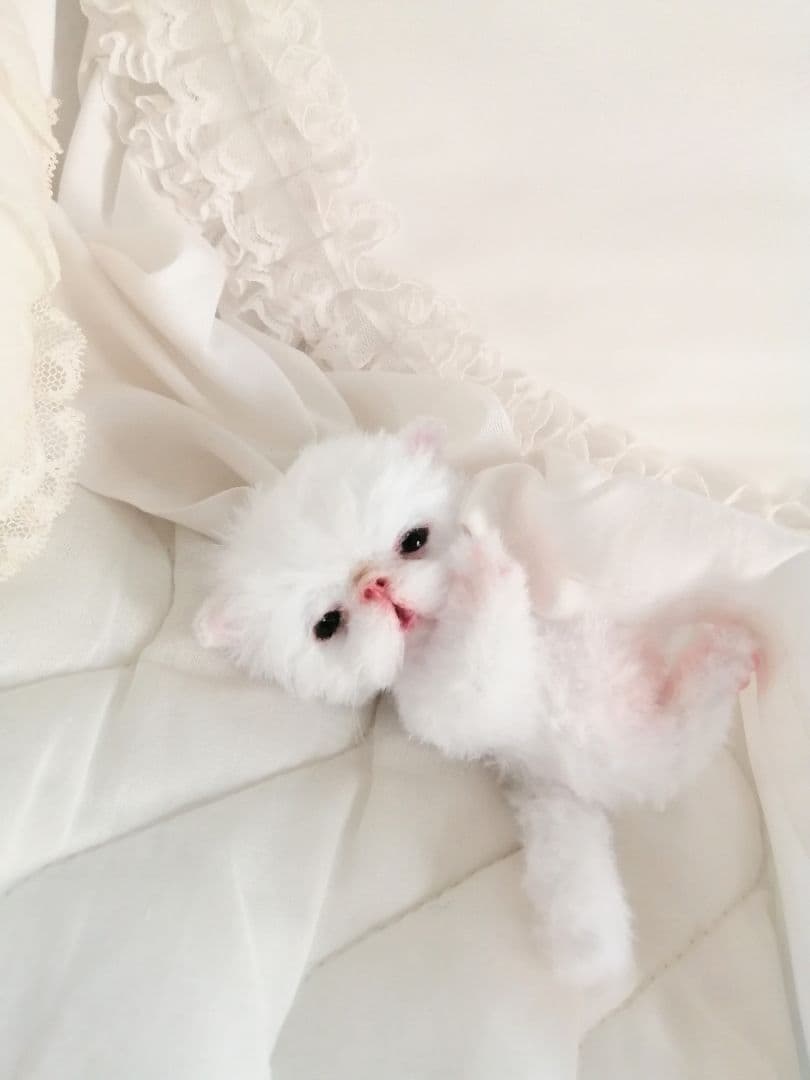 ほにゃん～♡生後20日♡ちびちび子猫ちゃん♡アートドール♡ぬいぐるみ♡
