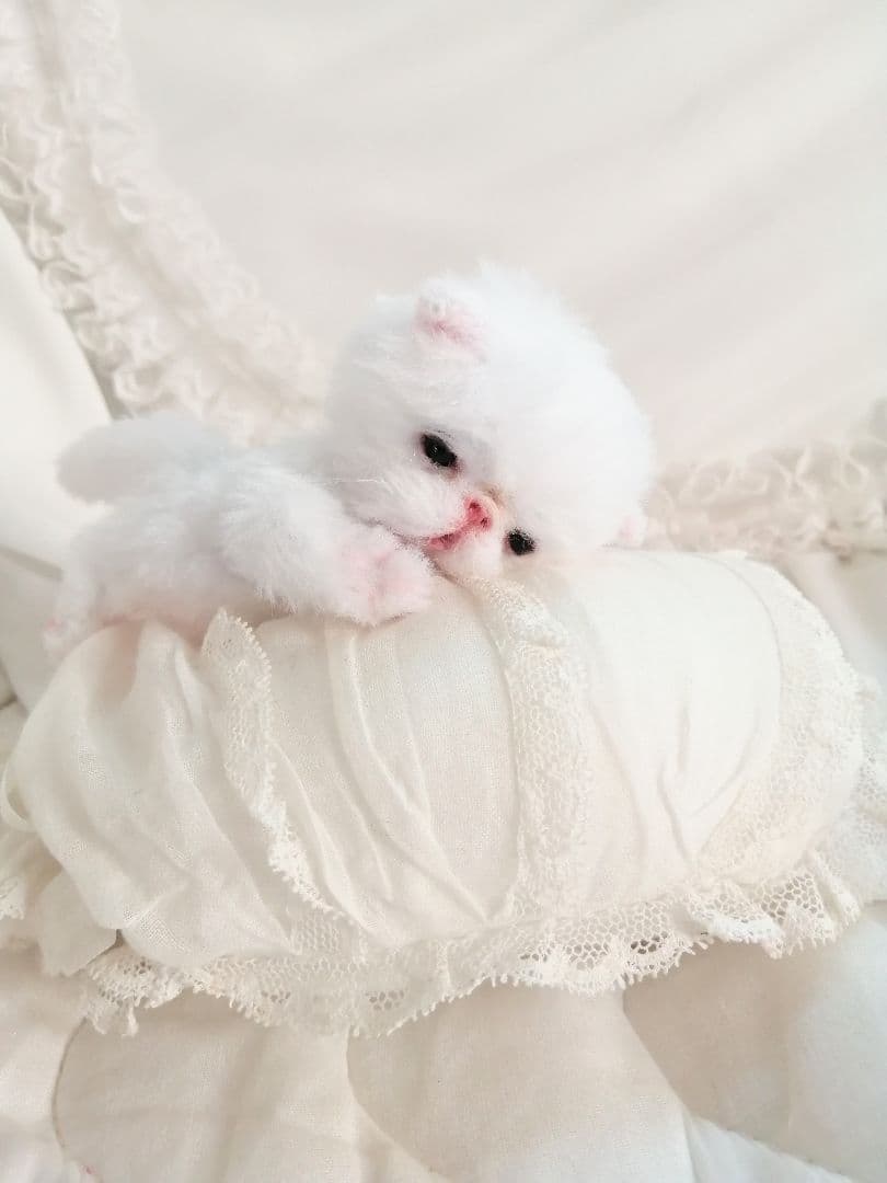 ほにゃん～♡生後20日♡ちびちび子猫ちゃん♡アートドール♡ぬいぐるみ♡