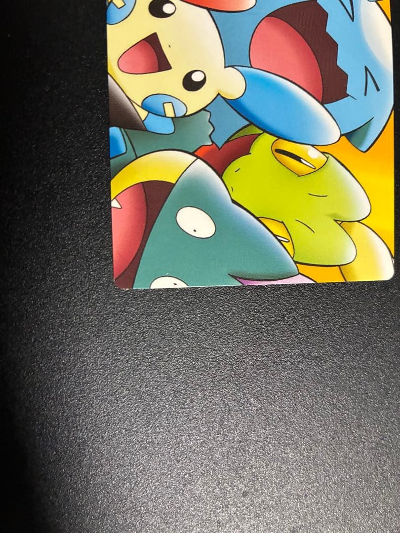 【超希少】ピカチュウの森　ポケパーク　アドベンチャーカード 079