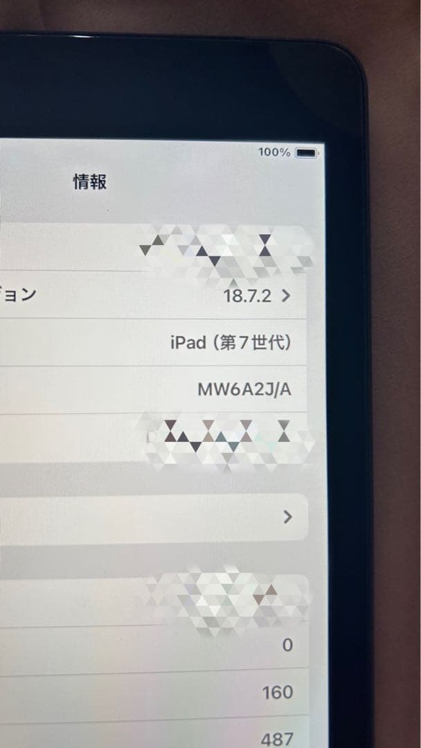 iPad 第7世代 32GB Wi-Fi + Cellular 本体