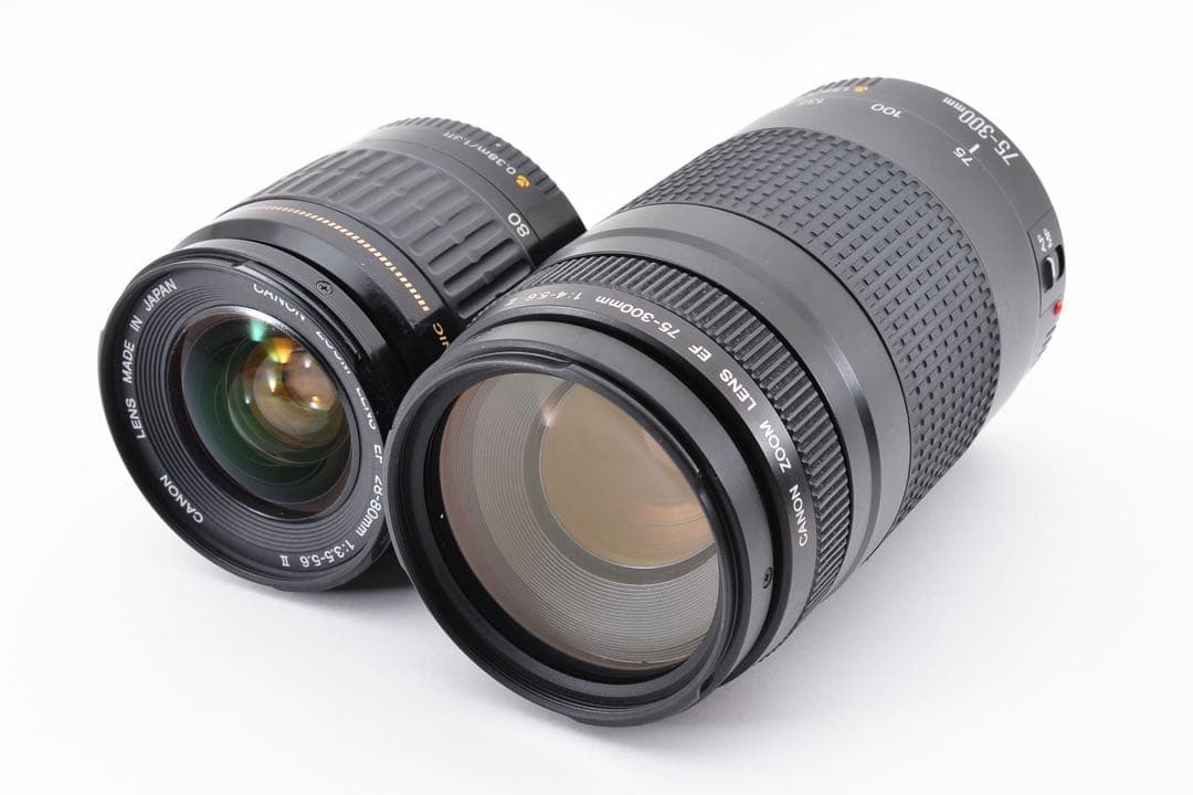 キヤノン Canon EOS 7D MarkⅡ 標準&望遠ダブルレンズセット