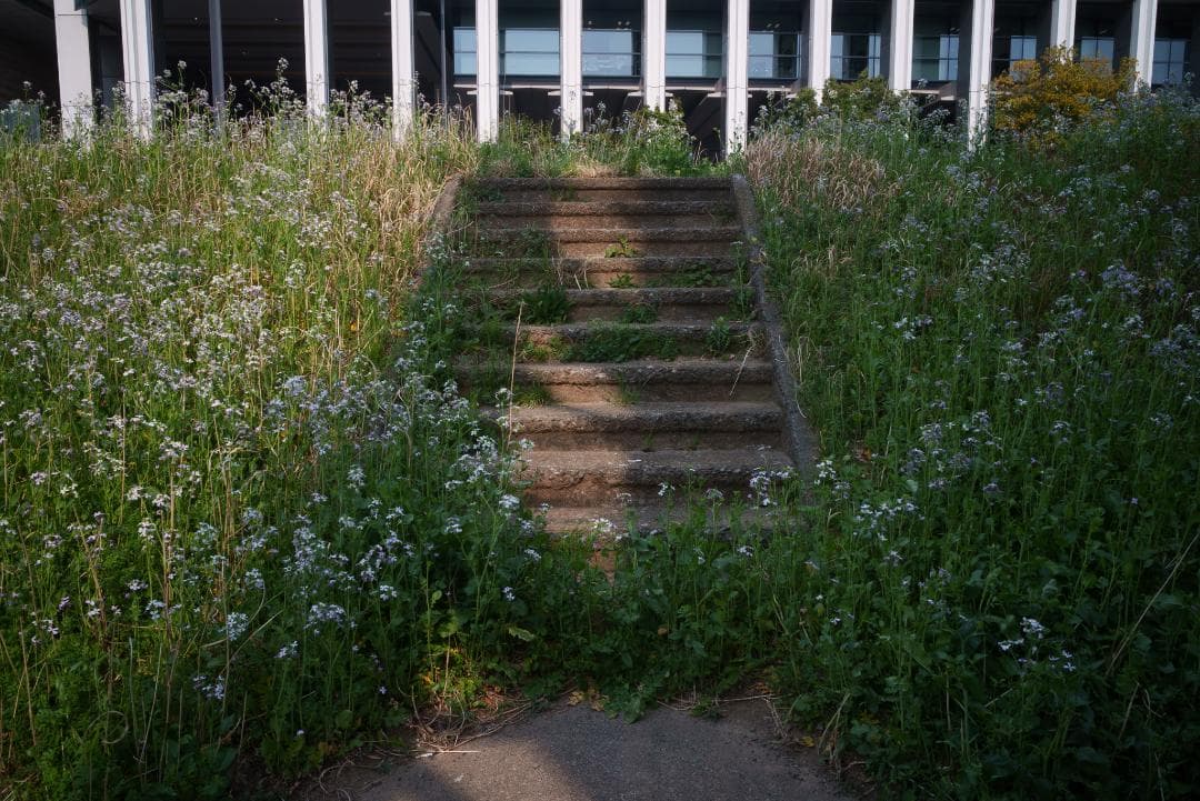 なみ様　銘玉オマージュ TTArtisan 28mm F5.6 シルバー