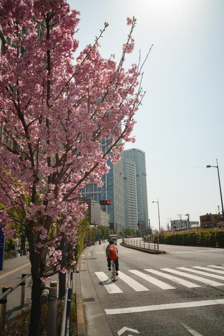 なみ様　銘玉オマージュ TTArtisan 28mm F5.6 シルバー