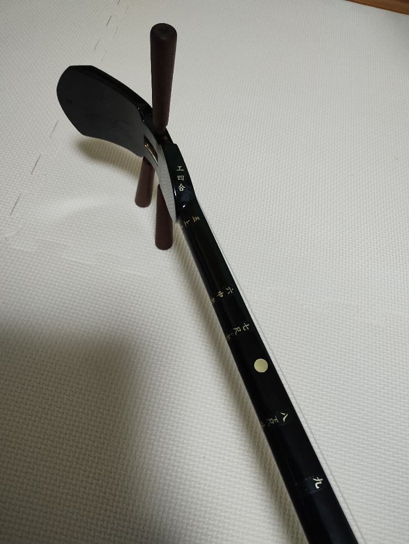 沖縄三線 三線本体 ソフトケース付 入門者向け 弦楽器 和楽器 人工革ヘビ