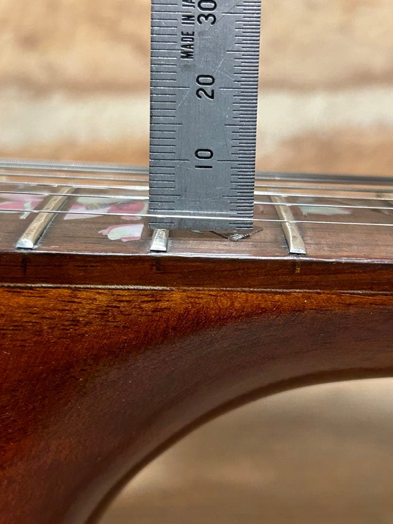 エピフォン・フルアコ化リメイクギター