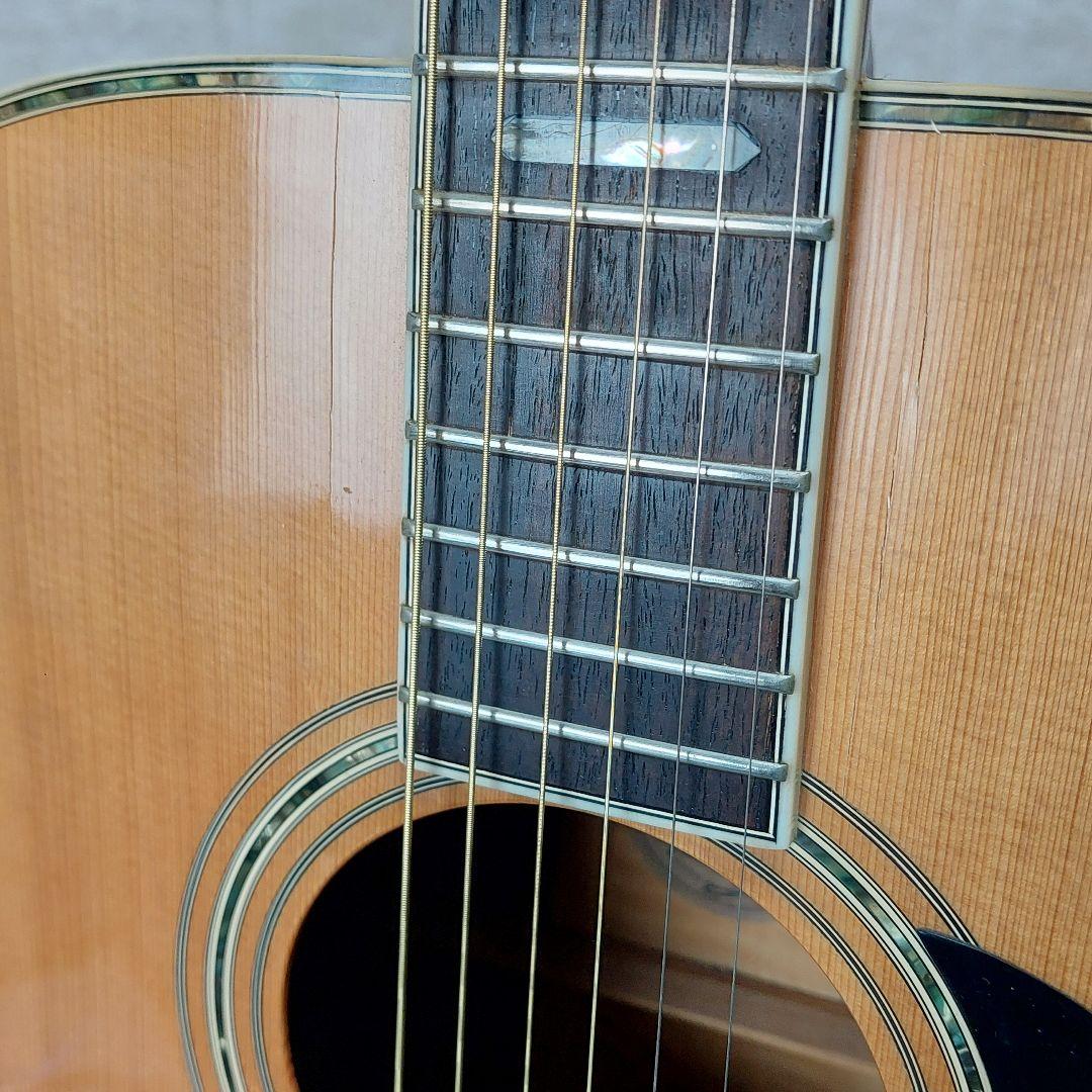 希少 Morris TF W-60 ハカランダ 縦ロゴ モーリス ハードケース付