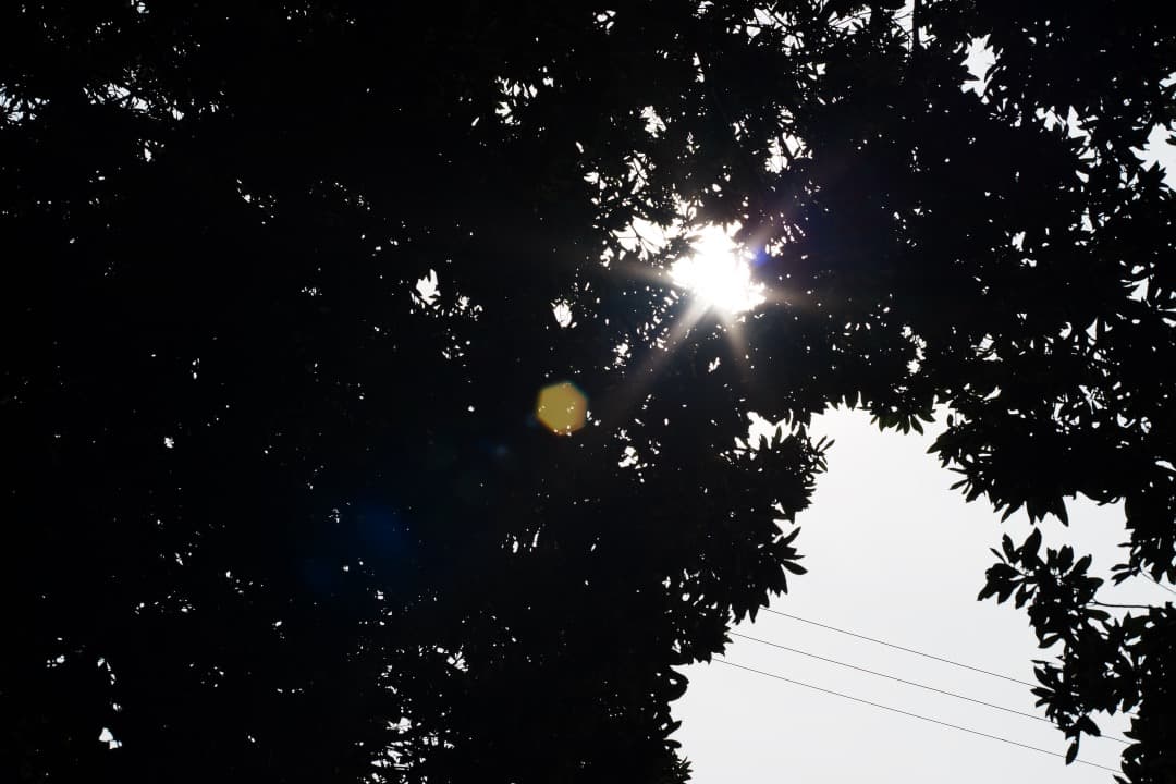 【至高の標準】動作◎ オリンパス Zuiko Auto 50mm F2 321