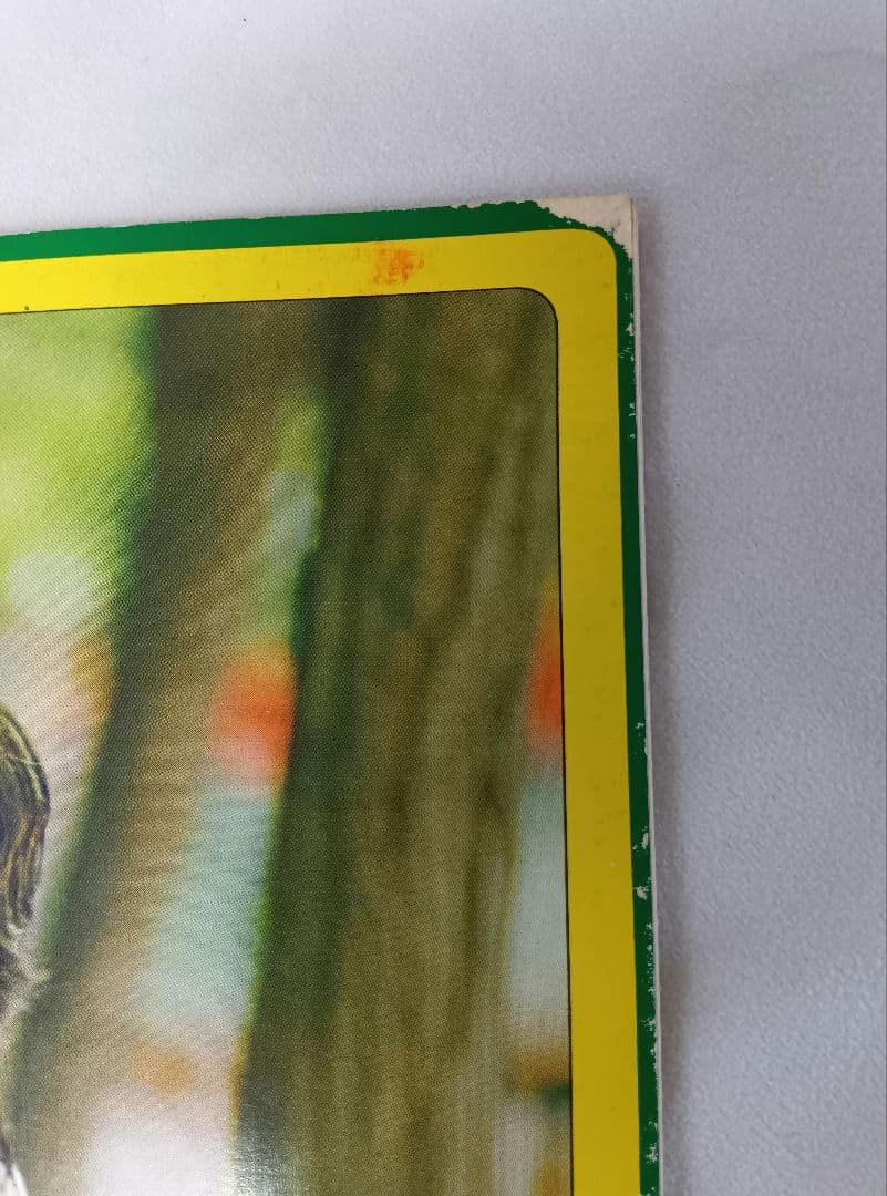 JULIE in AEGEAN　沢田研二　写真集　ジュリー　エーゲ海