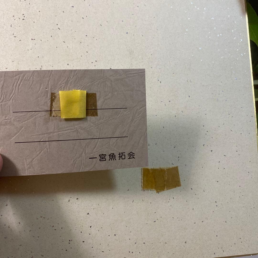 潮の流れ 色紙 カニ イカ(二枚入り)