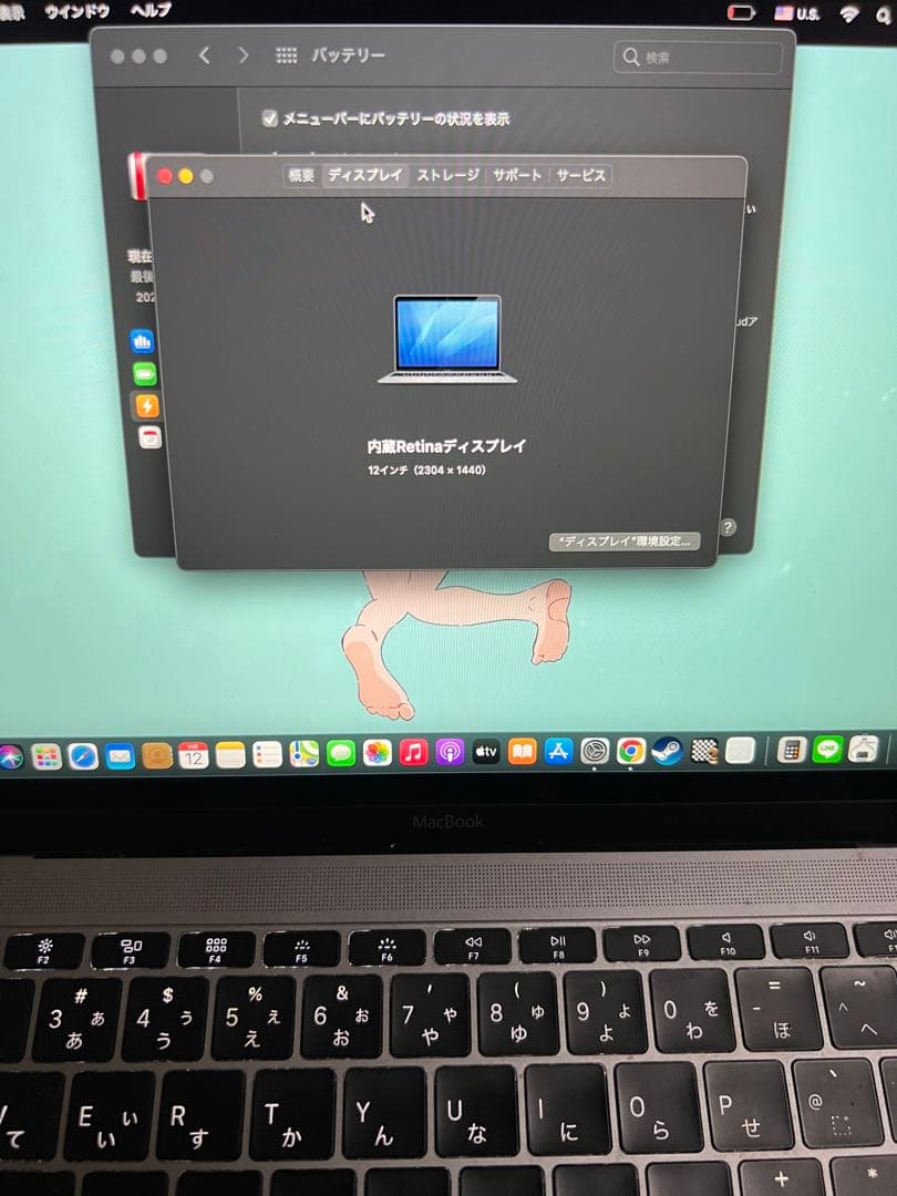 MacBook本体 Apple MacBook