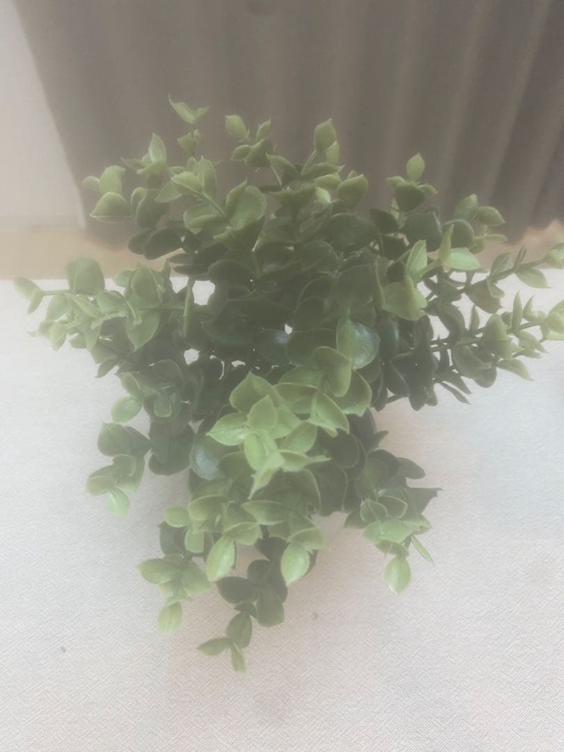 ツ*グ様 Apple iPhone 11 ホワイト 本体